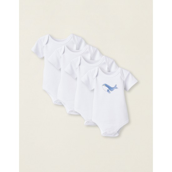PACK 4 SHORT SLEEVE COTTON BODYSUITS FOR BABY 'NAVY', WHITE